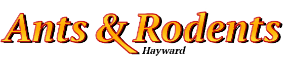 Hayward Ant Exterminator & Rodent Control Company Logo